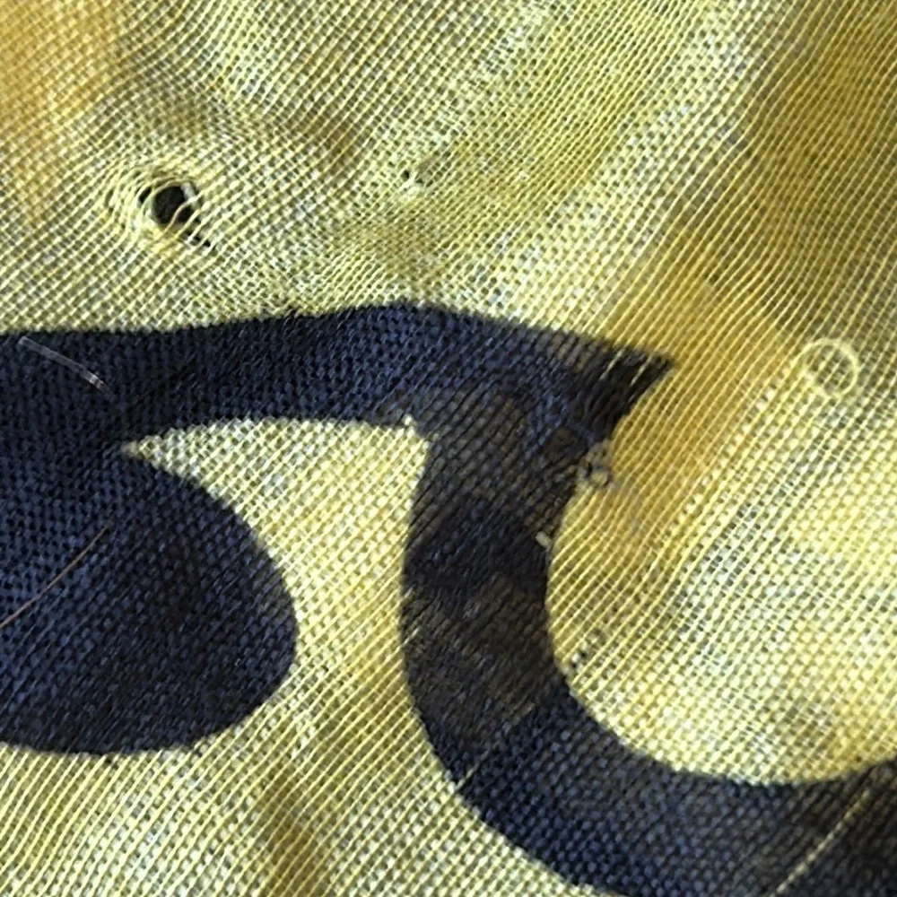 Iowa Hawkeyes Infinity Scarf Black/Yellow Lightweight University Sheer
